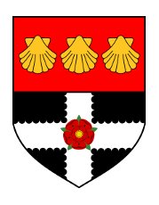 Reading University Rockets Uni